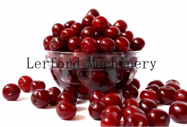 mechanical cherry pitter