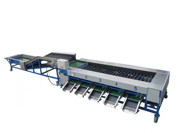Fruit Separator Machine