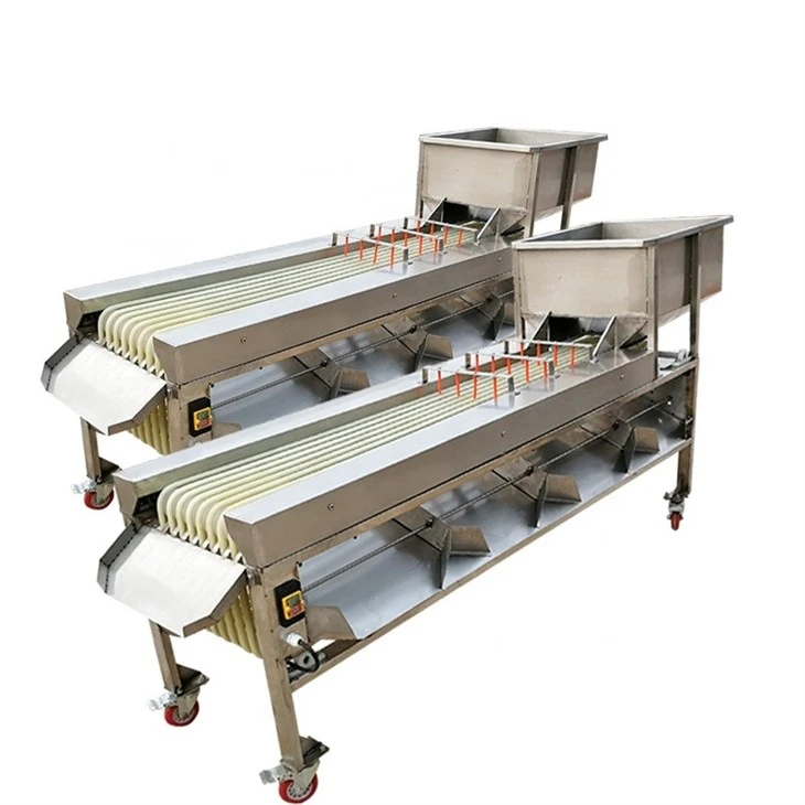 Grape Sorting Machine
