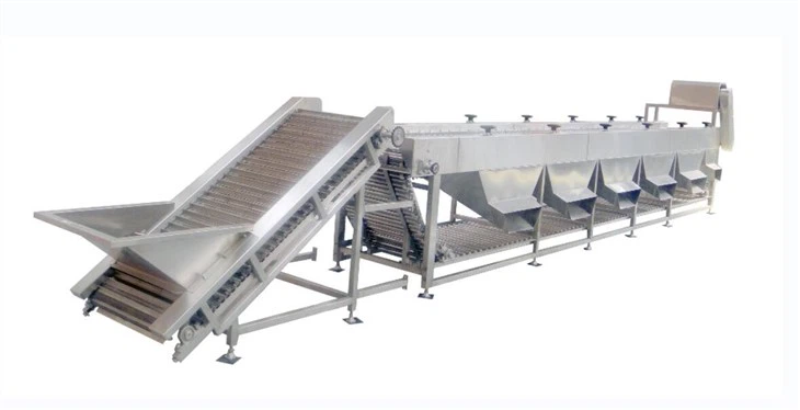 Peach Sorting Machines