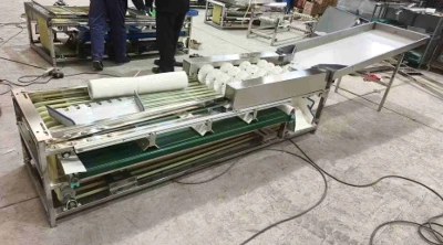 Fruit Grading Machine Fruit Grading Machine
