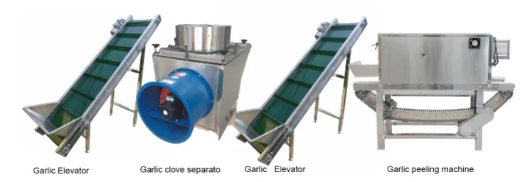 industrial garlic peeling machine industrial garlic peeling machine